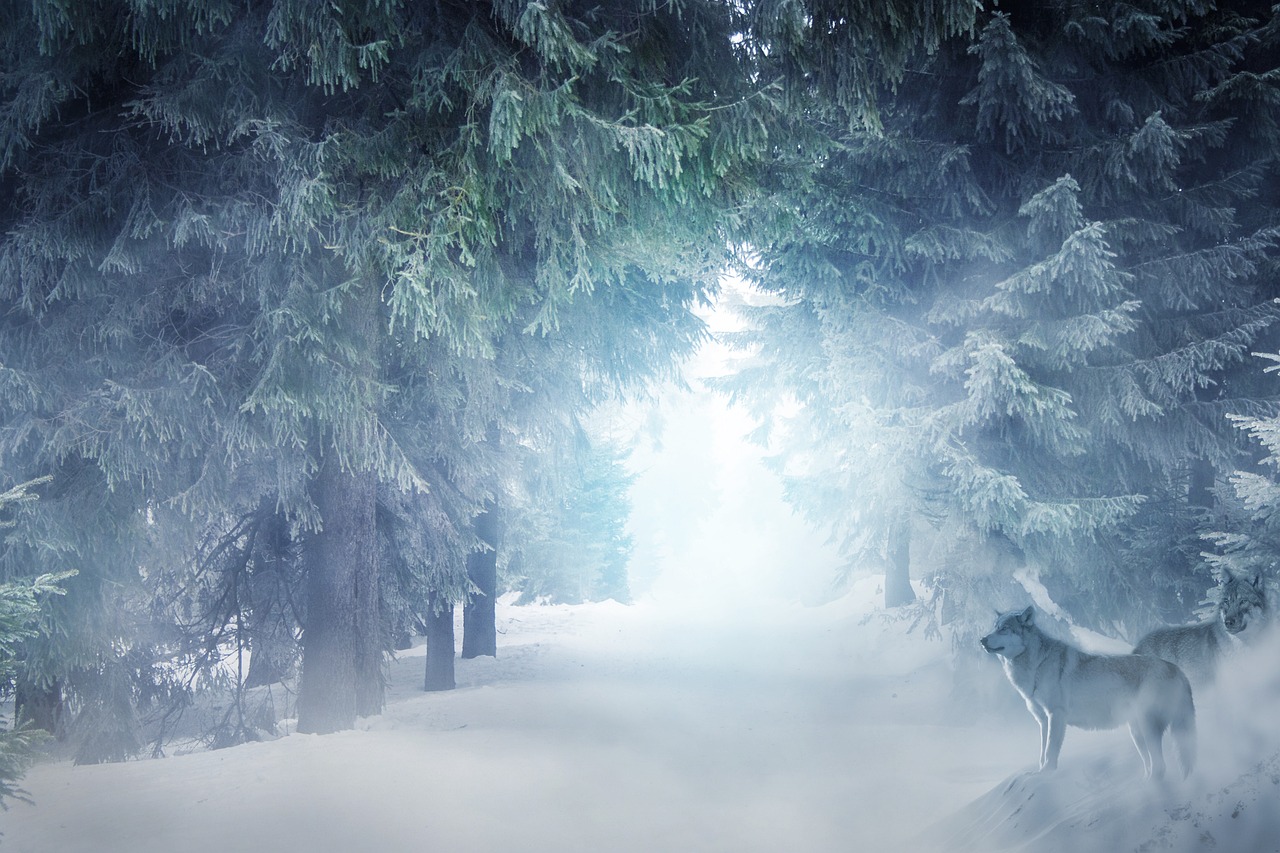 Reclaiming Your Wild Nature: Awakening Intuition, Creativity, and Inner
